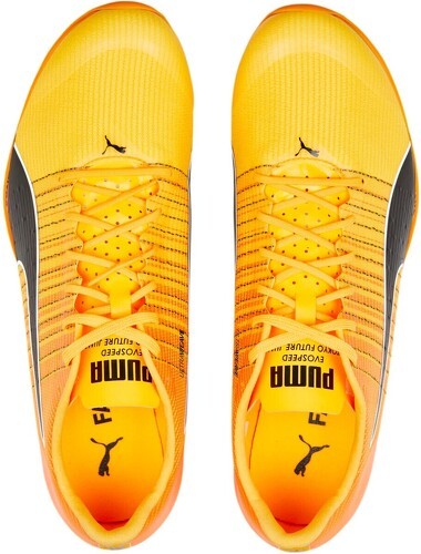 PUMA-Evospeed Tokyo Nitro 400-3