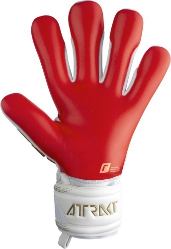 REUSCH-Gants De Gardien Reusch Attrakt Freegel-2