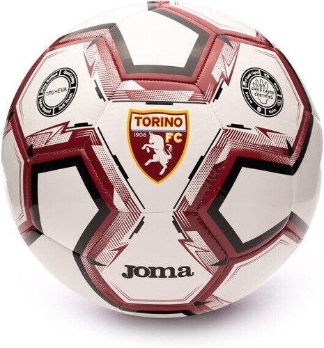 JOMA-Joma Torino 2023-2024-image-1