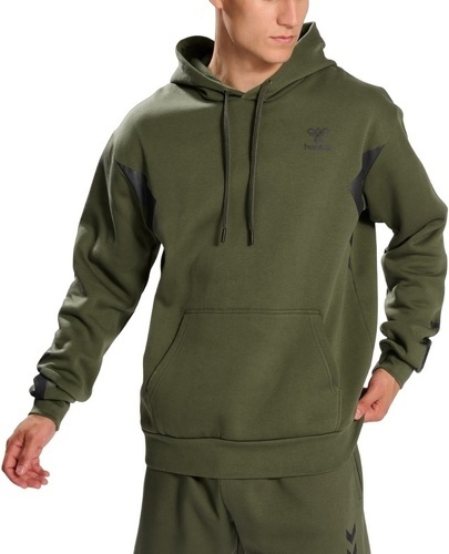 HUMMEL-Hmlactive Co Hoodie-0