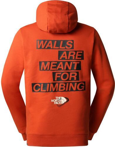 THE NORTH FACE-M OUTDOOR GRAPHIC HOODIE LIGHT-1