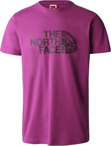 THE NORTH FACE-The North Face M S/S Woodcut Dome Tee-image-1
