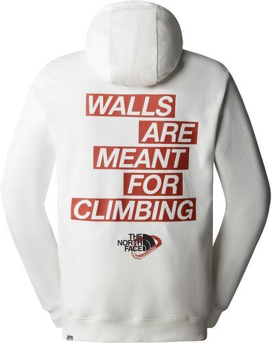 THE NORTH FACE-M OUTDOOR GRAPHIC HOODIE LIGHT-1