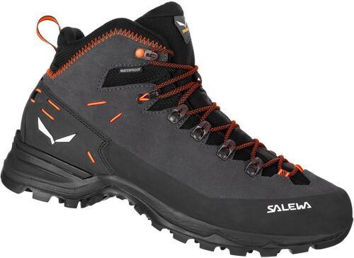 SALEWA-Alp Mate Winter Mid Waterproof-2