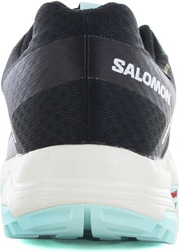 SALOMON-XA Yaron Gore-Tex-3
