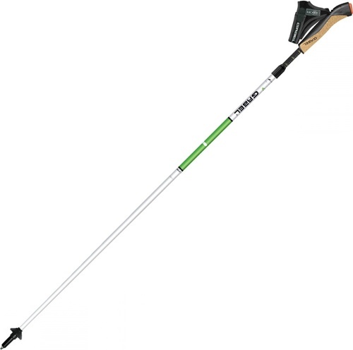Gabel-PAR Nordic Revo Alu-Tech-0