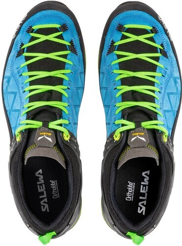 SALEWA-Mountain Trainer 2 Gore-Tex-2