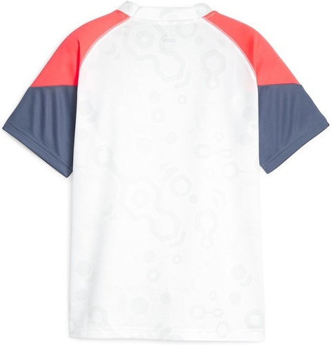 PUMA-individualCUP Jersey Jr-1