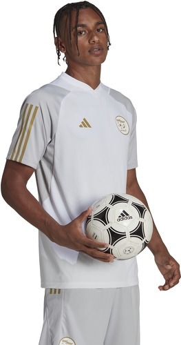 adidas-Maillot d'entraînement Algérie Tiro 23-3