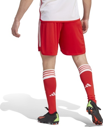 adidas Performance-Short Domicile FC Bayern 23/24-4