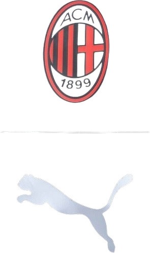 PUMA-Puma Ac Milan 2023/2024-3