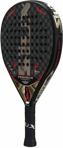 Siux-Pegasus Revolution 12K-1