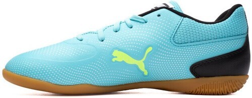 PUMA-Truco 3-1