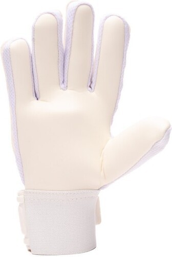 REUSCH-Reusch Legacy Arrow Solid-2