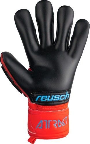 REUSCH-Gants De Gardien Reusch Attrakt Freegel Gold-2