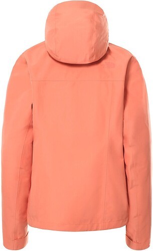 THE NORTH FACE-The North Face Dryzzle Futurelight - Veste de randonnée-1