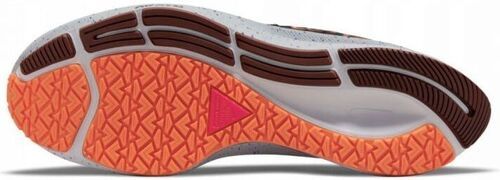 NIKE-Air Zoom Pegasus 38 Shield-4
