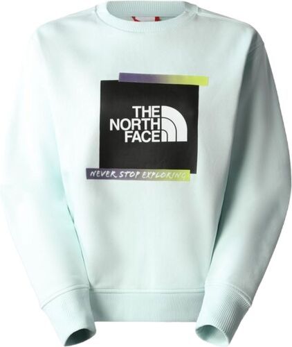 THE NORTH FACE-Pull Graphic Crew Sky Light Blue-image-1