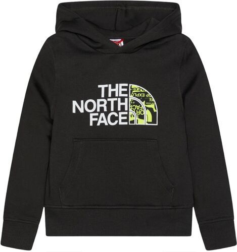 THE NORTH FACE-Pull Drew Peak Hoodie Asphalt Grey-image-1