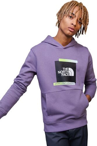 THE NORTH FACE-Pull Graphic Hoodie Lunar Slate-3