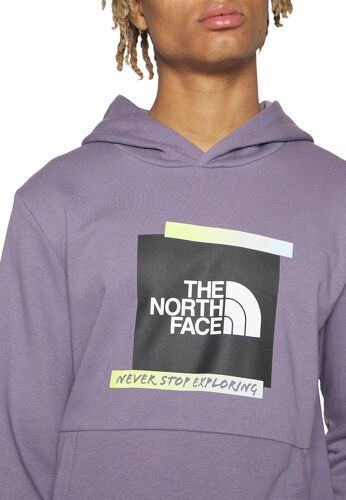 THE NORTH FACE-Pull Graphic Hoodie Lunar Slate-4