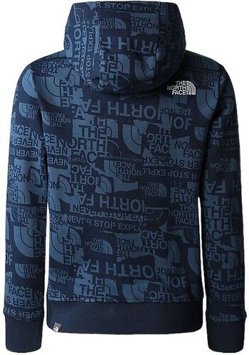 THE NORTH FACE-Pull Light Drew Peak Hoodie Summit /Brand Proud Print-1