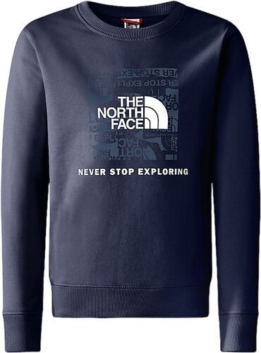 THE NORTH FACE-Pull Redbox Summit Navy-image-1