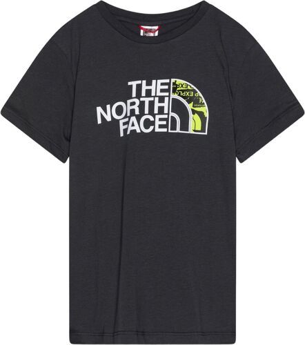 THE NORTH FACE-T-shirt Easy Asphalt Grey-image-1