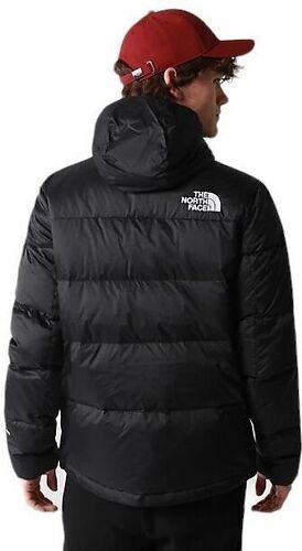 THE NORTH FACE-Veste Himalayan Light-4