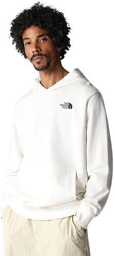 THE NORTH FACE-Pull Graphic Hoodie-2