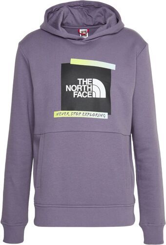 THE NORTH FACE-Pull Graphic Hoodie Lunar Slate-image-1