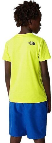 THE NORTH FACE-B Box Tee-3