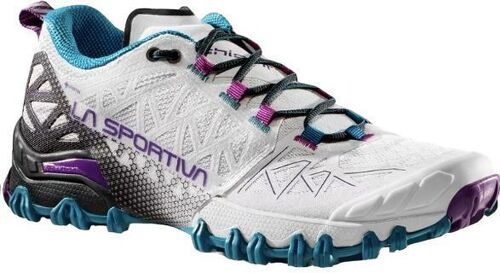 LA SPORTIVA-Bushido 2 Gore-Tex Light-2