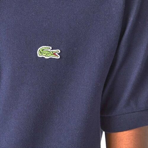 LACOSTE-Lacoste Caiman-4