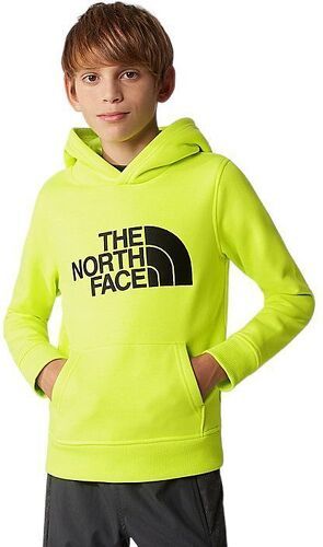 THE NORTH FACE-B Drew Peak P/O Hoodie-2