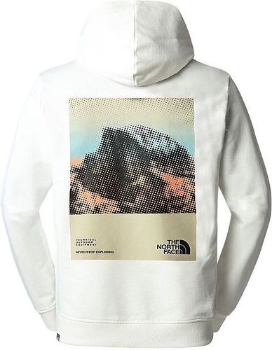 THE NORTH FACE-Pull Graphic Hoodie-1