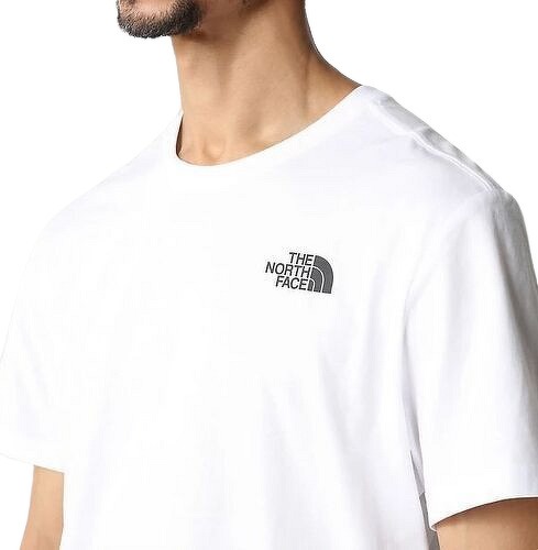 THE NORTH FACE-M Box Celebration Tee-2