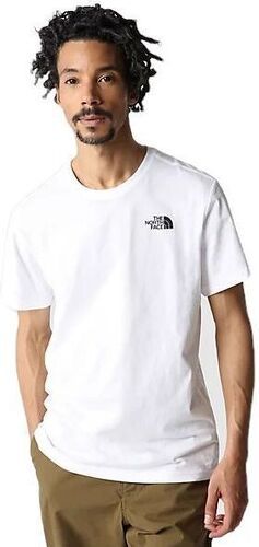 THE NORTH FACE-M Box Celebration Tee-4