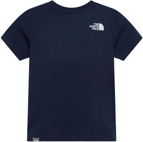 THE NORTH FACE-T Shirt Box Blue-1