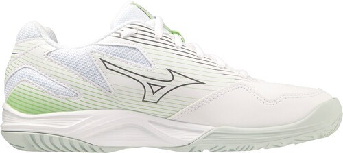 MIZUNO-Cyclone Speed 4-2