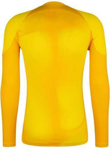 NIKE-Maillot de gardien de but manches longues Nike Dri-FIT ADV Gardien IV jaune-1