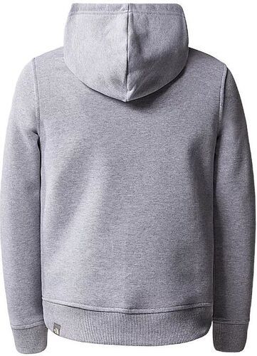 THE NORTH FACE-Pull Drew Peak Hoodie Light Heather-1