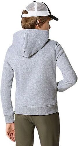 THE NORTH FACE-Pull Drew Peak Hoodie Light Heather-2