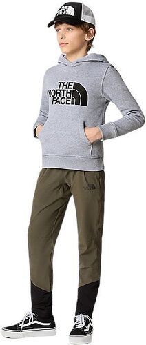 THE NORTH FACE-Pull Drew Peak Hoodie Light Heather-3