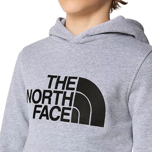 THE NORTH FACE-Pull Drew Peak Hoodie Light Heather-4