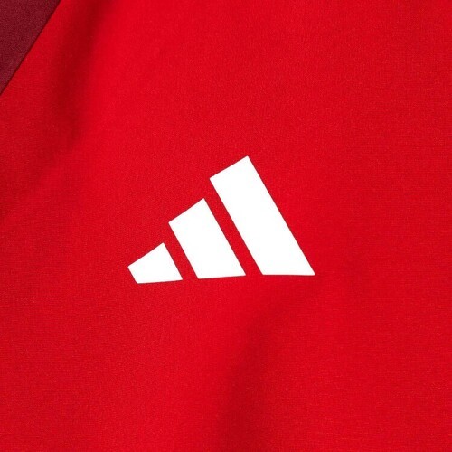 adidas Performance-Veste tout temps Benfica Tiro 23-3