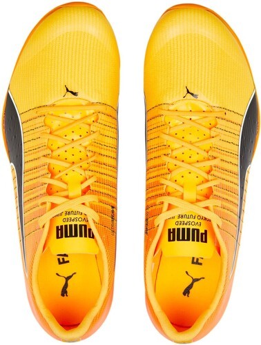PUMA-evoSPEED Tokyo Nitro 100-3