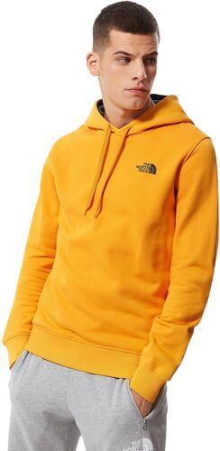 THE NORTH FACE-Seasonal Drew Peak - Sweat-2