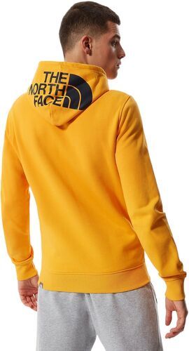 THE NORTH FACE-Seasonal Drew Peak - Sweat-3