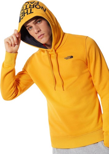 THE NORTH FACE-Seasonal Drew Peak - Sweat-4